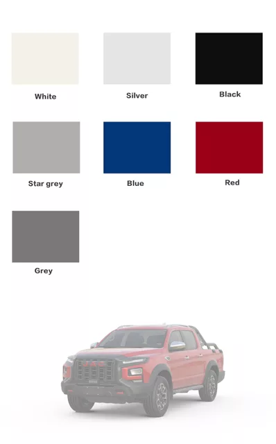 Pick-up JAC T9EV palette de couleurs disponibles