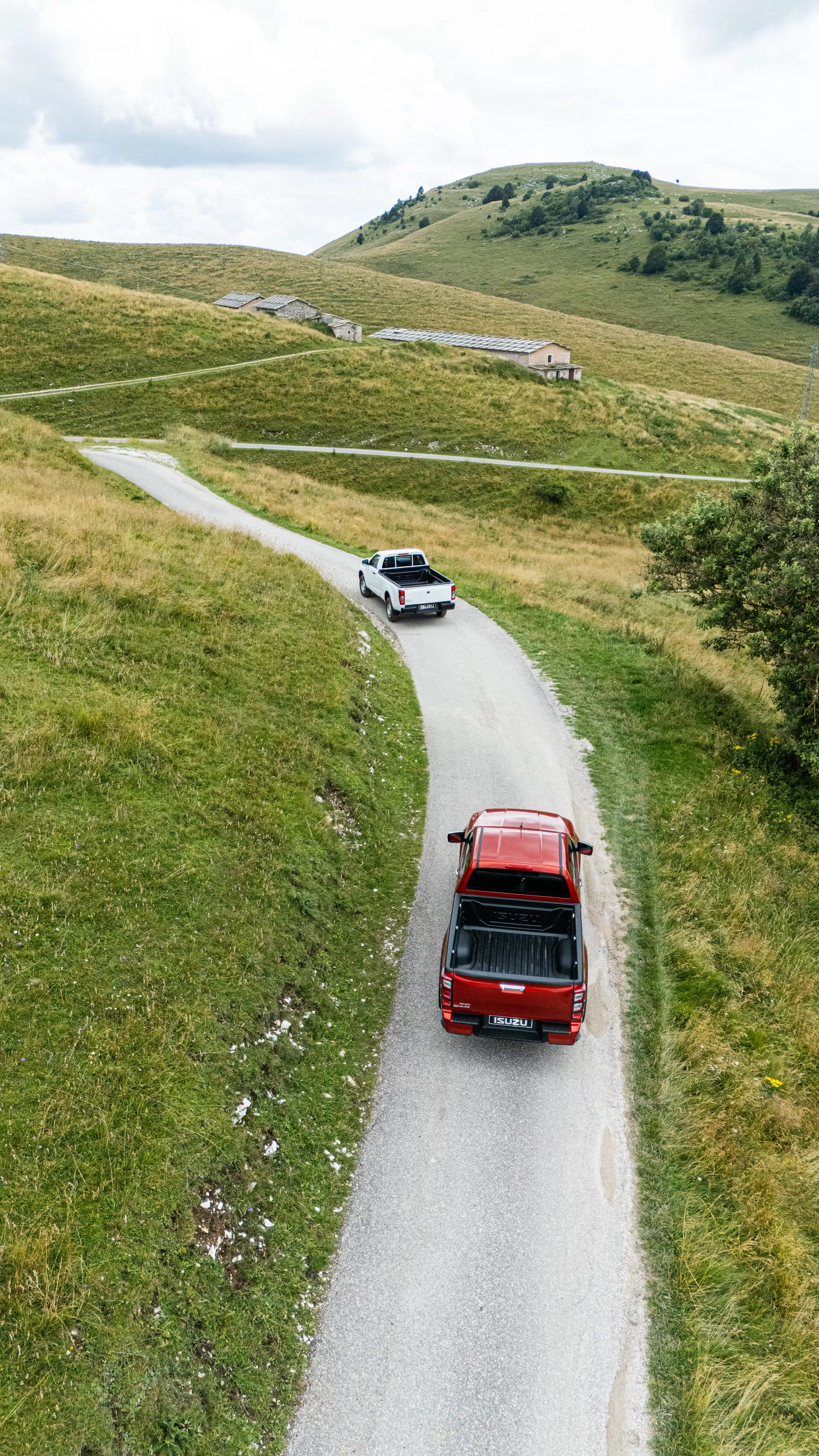 ISUZU D-MAX rouge et blanc se suivant sur une route de campagne avec de l' herbe verte autour